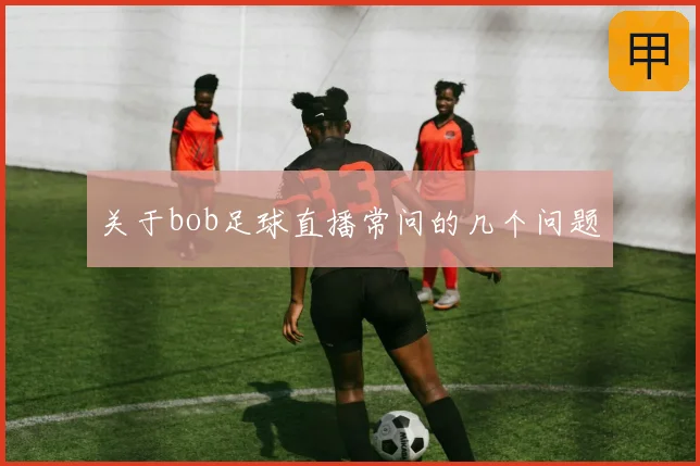 关于bob足球直播常问的几个问题